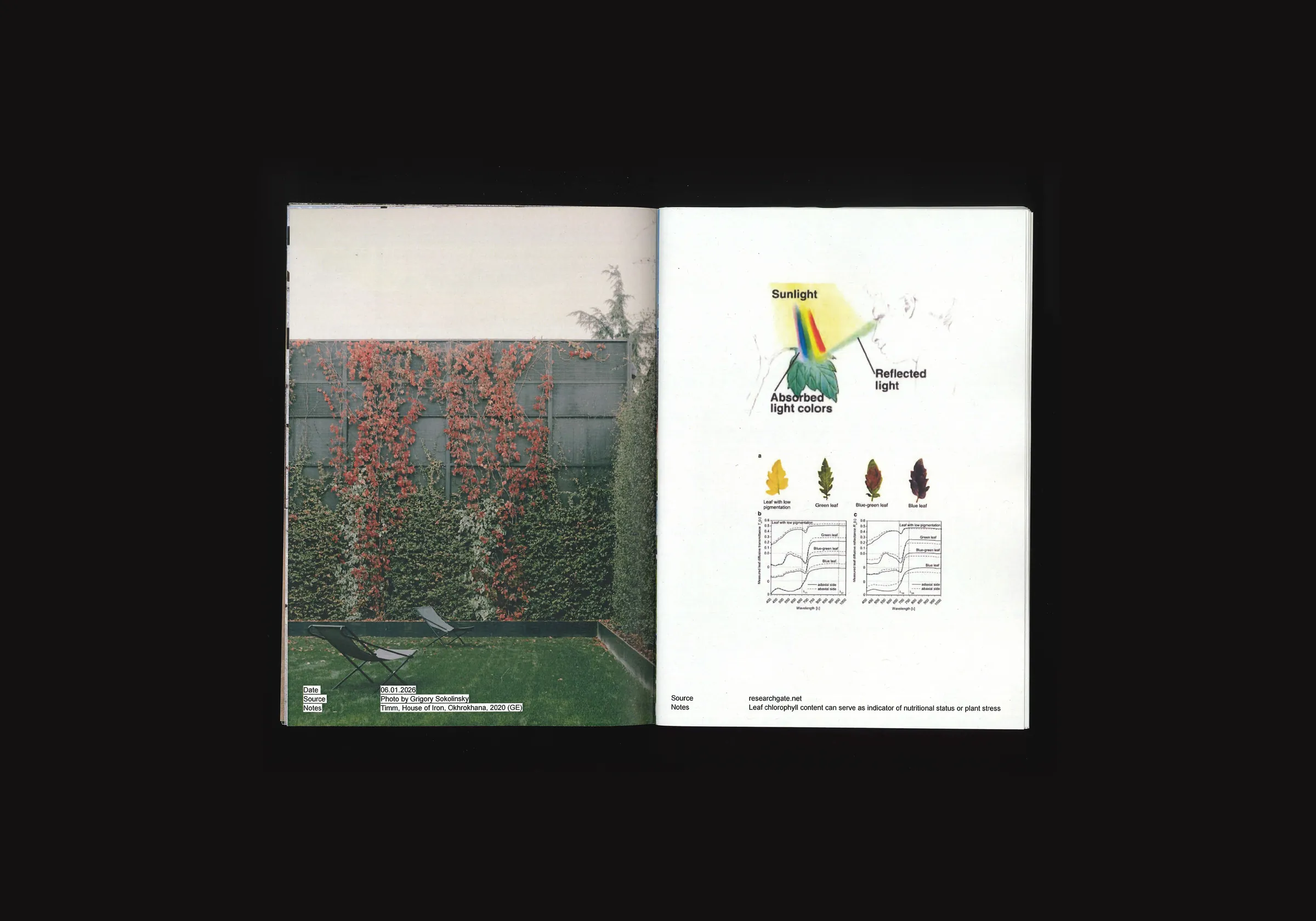 Knots and Nodes Diptych, image 3